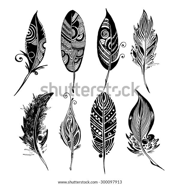 Vector Set 8 Sketch Fethers Stock Vector (Royalty Free) 300097913 ...