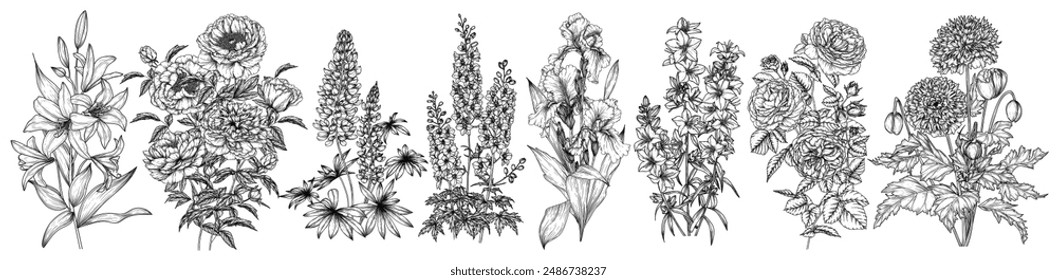 Vector set of 8 summer flowers. Peonies, white lilies, irises, lupins, delphinium, roses, decorative poppy, campanula