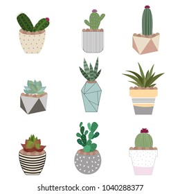 Vector set of 9 beautiful cactus and succulents. Plants in beautiful geometric pots. Vector illustration.
