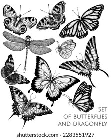 Vector set of 9 insects. Monarch butterfly, hive butterfly, peacock butterfly, butterfly swallowtail, pieridae, butterflies admiral, podalirius, papilio, dragonfly  in engraving style