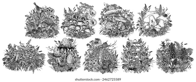 Vector set of 9 mushrooms surrounded by forest plants, flowers, berries. Fly agaric, porcini mushroom, chanterelles, honey mushrooms, morel, bamboo, common bonnet , Coprinus comatus, oyster mushrooms