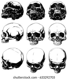 Vector set 9 realistic horror detailed graphic black   white human skulls in different projections without lower jaw