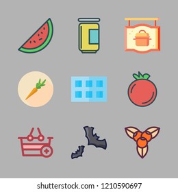  vector set about  berries, bats, healthy food and watermelon icons set.
