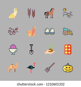  vector set about drought, horse, wind and pitchfork icons set.