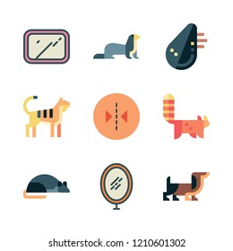  vector set about mirror, tiger, red panda and reflection icons set.