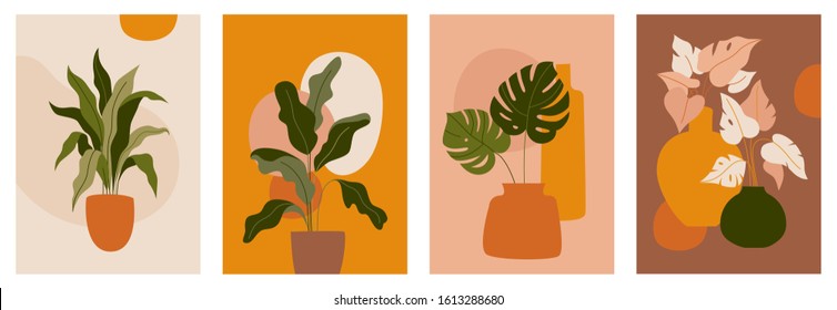 Vector set of abstract backgrounds with copy space for text - bright vibrant banners, posters, cover design templates, social media stories wallpapers with tropical leaves and plants