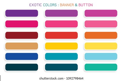 Vector Set of Abstract Banner Design Background Header Banner or Botton Templates in Exotic Colors with Copy Space for Add Content.