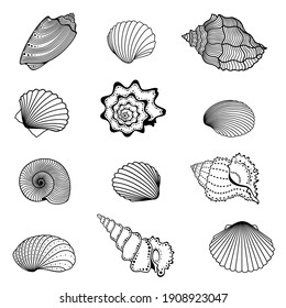 Conjunto vectorial de conchas abstractas, decorativas, de contorno en color negro, aisladas, sobre fondo blanco.