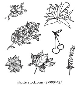Vector set with abstract flowers in black and white colors