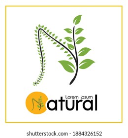 Conjunto de vectores de plantillas de diseño de logotipos ecológicos abstractos - emblemas para centros de medicina holística, clases de yoga, productos alimenticios naturales y orgánicos y empaque - círculos hechos con hojas y flores