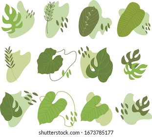 Conjunto vectorial de hojas y formas tropicales verdes abstractas. Caricatura de hojas exóticas. Perfecto para textiles, papel para envolver, pegatinas