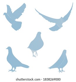 Vector set of abstract pigeons illustrations