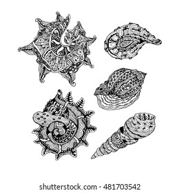Vector set of abstract shells. Hand drawn doodle elements on theme of summer. Black and white design. Tattoo art. Vector illustration.