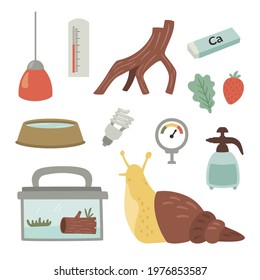 vector set of achatina snail care items, illustration for pet shops