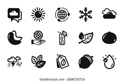 Vector set of Acorn, Vitamin e and Weather forecast icons simple set. Bad weather, Eco energy and Safe planet icons. Leaf dew, Cashew nut and Sun signs. Acorn simple web symbol. Vector