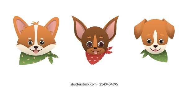 Vector set of adorable smiling corgi, chihuahua, jack Russell terrier puppies with scarves around their necks. Portraits, avatars of dogs in children's style. Vector cartoon illustration on white 