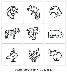 Vector Set of Africa Animals Icons. Parrot, Chameleon, Monkey, Zebra, Palm, Rhinoceros, Pelican, Reed, Elephant. Flora and fauna of the African country