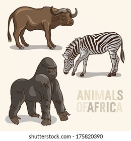 Vector set of African Animals. Gorilla, buffalo and zebra