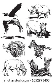 Vector set of african animals isolated on white background, illustration