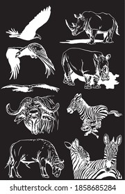 Vector set of african animals isolated on black background, illustration