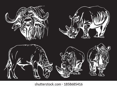 Vector set of african animals isolated on black background, illustration