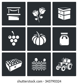 Vector Set of Agriculture Icons. Market, Roses, Beehive, Grapes, Pumpkins, Jam, Fruits, Wicker Fence, Tractor. Trade, Floriculture, Apiary, Macaroni, Vegetable, Canning, 