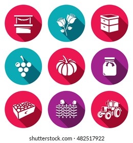 Vector Set of Agriculture Icons. Market, Roses, Beehive, Grapes, Pumpkins, Jam, Fruits, Wicker Fence, Tractor.