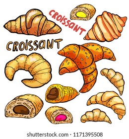 
vector set all kinds of croissants