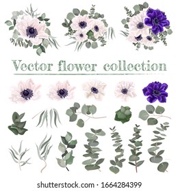 Vector set of anemone flowers. Blue and white anemones, eucalyptus,  green leaves and plants. Flowers on a white background.