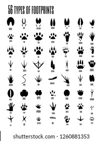 Vector set of animal, avian and reptile footprints.Vector illustration.Set of silhouettes of footprints of wild and domestic animals 
