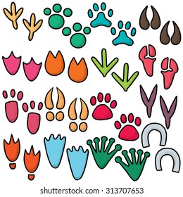 vector set of animal footprints