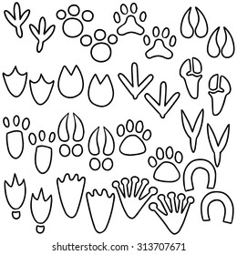 vector set of animal footprints