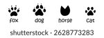 Vector set of animal footprints. Collection with fox, dog, horse and cat footsteps tracks. Paw trace in black silhouette. Animal feet collection.