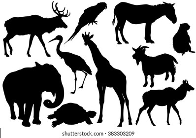 vector set of animal silhouettes (Elk, deer, Parrot, cockatoo, horse, pony, zebra, ground squirrel, elephant, Heron, giraffe, goat, turtle, Antelope)