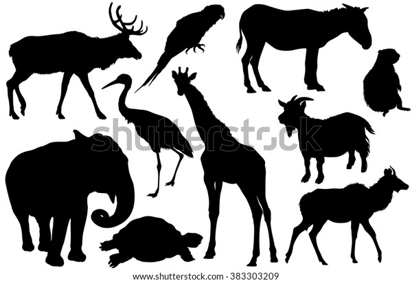 Vector Set Animal Silhouettes Elk Deer Stock Vector (Royalty Free ...