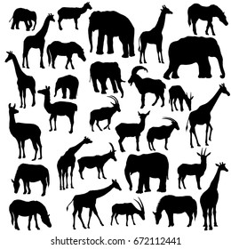 vector set of animal silhouettes, hand drawn elephants,giraffes,antelopes and deers isolated at white background