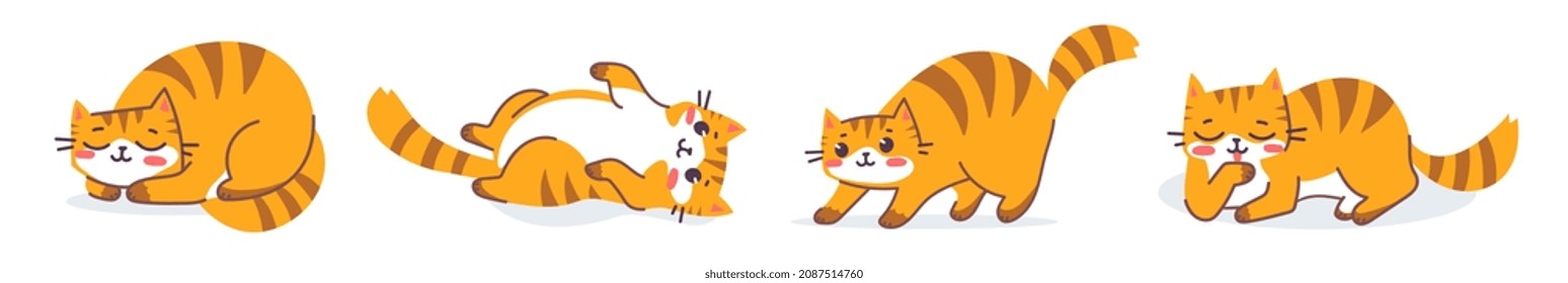 Vector set of animal tiger cat in different pose. Flat line art style design of illustration of happy cute striped red cat character on white color background. Symbol of New Year 2022 greeting card