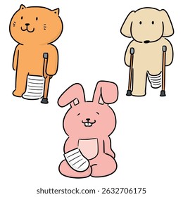 conjunto vetorial de gesso ortopédico para uso animal