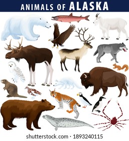 vector set - animals of Alaska: polar bear, bald eagle, moose, lynx, beaver, crab, fox, owl, seal, bison, bear, mountain goat, reindeer, wolf