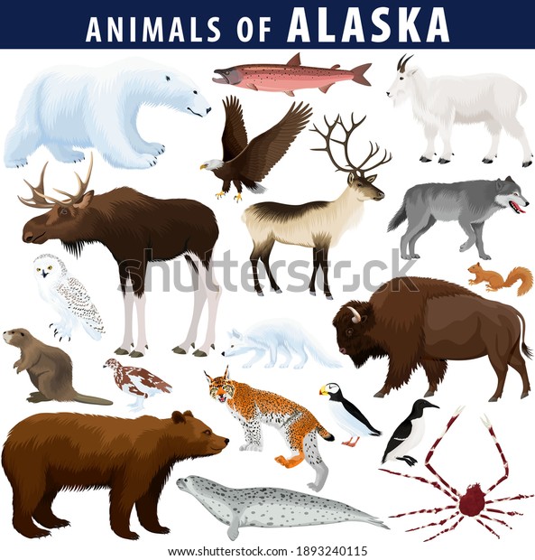vector set - animals of Alaska: polar bear, bald\
eagle, moose, lynx, beaver, crab, fox, owl, seal, bison, bear,\
mountain goat, reindeer,\
wolf