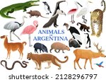 Vector set of animals of Argentina