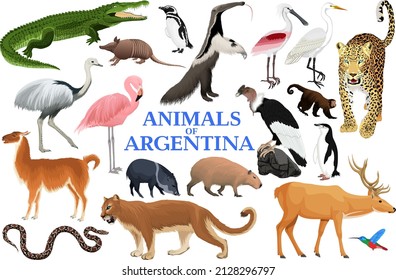 Vector set of animals of Argentina