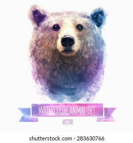 Vector set of animals. Bear hand painted watercolor illustration isolated on white background