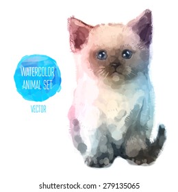Vector set of animals. Cat hand painted watercolor illustration isolated on white background