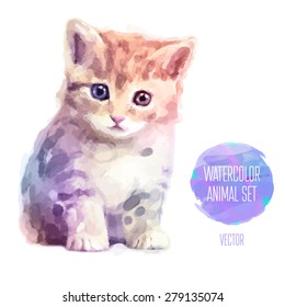 Download Watercolor Cat High Res Stock Images Shutterstock