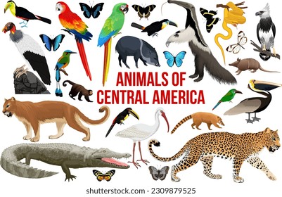 vector set of animals of central america: 