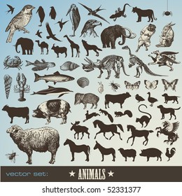 conjunto vectorial: animales - recogida de 60 ilustraciones pormenorizadas de animales y siluetas de animales