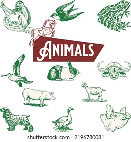 vector set with animals . Vector collection with mammals.