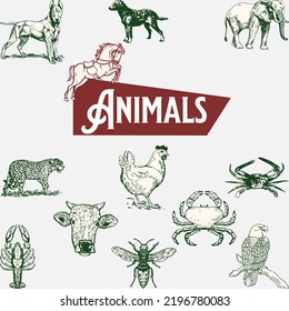 vector set with animals . Vector collection with mammals.