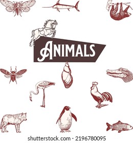 vector set with animals . Vector collection with mammals.